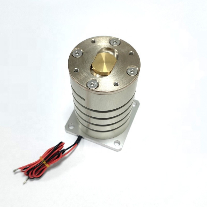 Vcm Disk Motor Vibrator Disk Kecil Fleksibel Vibration Voice Coil Motor ...